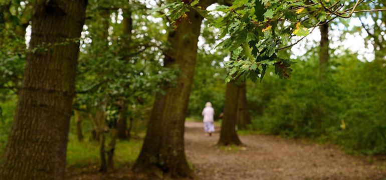 Centre for Ageing Better Later Life in Life 2015