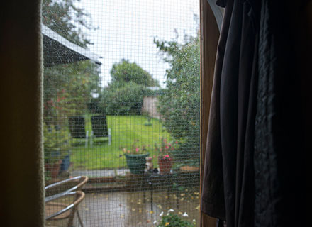 Segment 2 - Downbeat Boomers